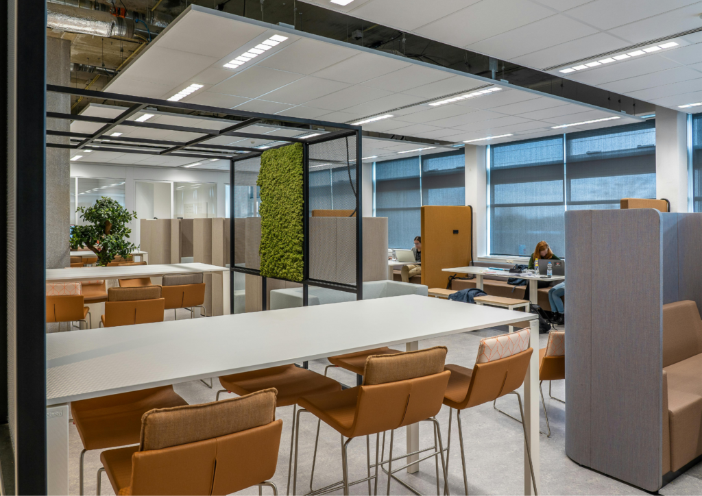 corporate office interior, office workspace, chairs, tables, tree pots, office, company workspace, Vibe Vista-commercial interior designers in hyderabad